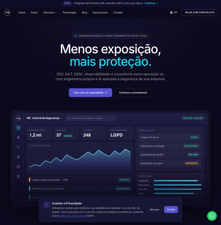 Página inicial do site da NE Brasil
